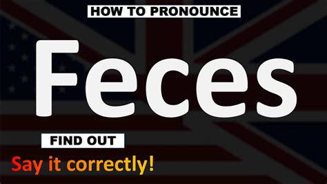 how to pronounce fecalysis|feces noun .